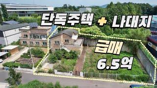 일산 단독주택+택지 가격⬇️급매가 6억5,000만원