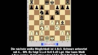 Schach-Eröffnung-Königsgambit 1. Abgelehntes Königsgambit (Untertitel). Eugen Grinis. Schach