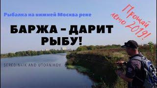 Плывёт баржа - это к рыбе! Рыбалка на Нижней Москва реке. Чулково