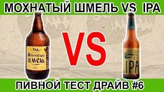 Мохнатый шмель vs IPA.  Пивной тест драйв #6