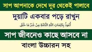 সাপের কামড় থেকে বাঁচার দোয়া | ঘর থেকে সাপ তাড়ানোর দোয়া | সাপ থেকে বাঁচার দোয়া - রাসেল ভাইপার