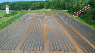 Raised Beds, Plastic Mulch and Drip Tape for Vegetable Production