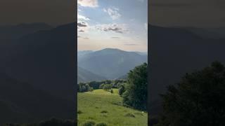 зелені Карпати #природа #ехокарпат #гори