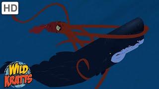 Ocean Creatures | Sharks, Whales, Squid + more! [Full Episodes] Wild Kratts