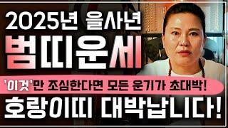 2025년 을사년 초대박나는 호랑이띠운세*필수시청* '이것'만 조심한다면 모든 운기가 초대박!! 62년생 74년생 86년생 98년생 범띠 운세! 말년운 금전운 사업운 문서운