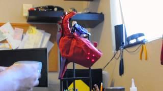 Origami Heart Electrophysiology   Chris Yuki Itoh