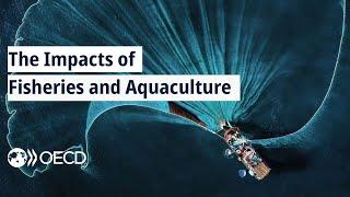 The Impacts of Fisheries and Aquaculture