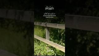 Everything has written in Quran. Recite the translation #quranrecitation #quranictranslation