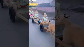 Cycle Cycle Mari Sonani Cycle #shorts #youtubeshorts #funny #cutebaby #viral #trending