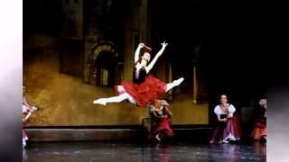 Evgenia Novikova "Pictures from the ballets" Part 2.1