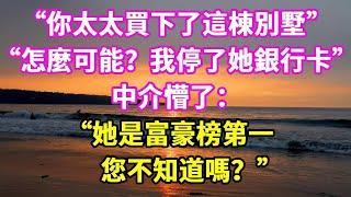 “你太太買下了這棟別墅”，“怎麼可能？我停了她銀行卡”，中介懵了：“她是富豪榜第一，您不知道嗎？”#悠然書影#爽文#大女主#家庭#豪門