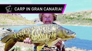 Steve Briggs Carp Fishing in the Canaries!