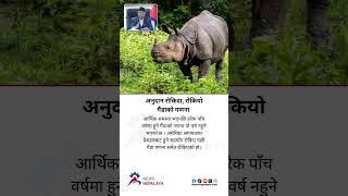 The rhino census, which is held every five years, will not be held this year