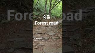 길을 걸었지 forest road #road #korea #forest  #nature