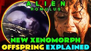 Offspring (New Xenomorph) Anatomy Explored - Is This How Engineers Were Formed? & More Alien Romulus