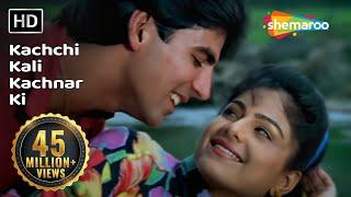 कच्ची कली कचनार की | Kachchi Kali Kachnar Ki | Waqt Hamara Hai | Kumar Sanu | Asha Bhsole