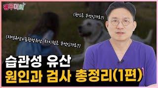 습관성 유산, 원인과 검사 총정리(1편)