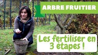 Arbre Fruitier  Comment les Fertiliser et Quel Engrais Choisir ?