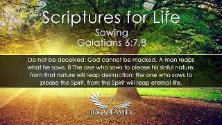 Scriptures for Life | Sowing