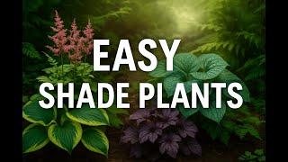 10 Shade Loving Perennials That Practically Take Care of Themselves