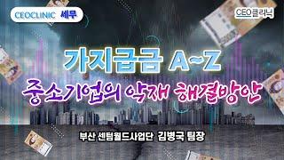 [CEO클리닉] 가지급금 완결판, 세무조사에 원인제공자로 해결방안 찾기