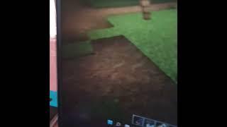 Calico Cats in Minecraft do need exercise