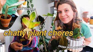 plant makeovers, propping florida ghost, repotting, & emergency rehab | chatty plant chores