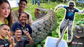 BANAKON KING COBRA KASAMA ANG GMA NEWS NETWORK! #davaocity #gmaregionaltv #cobrarescue #amazingearth