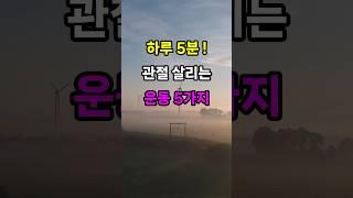 하루 5분 관절 살리는 운동 5가지 #명언 #지혜 #철학 #오디오북