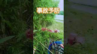 竹ヤブで見えない曲がり角をモアで事故対策。