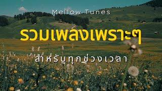 รวมเพลงเพราะๆ สำหรับทุกช่วงเวลา - By Mellow Tunes