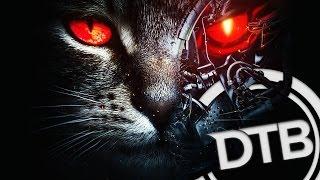 Excision & Downlink - Robo Kitty