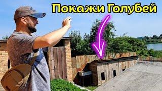 Дневник Голубятника у Меня в гостях. Гоняем Голубей