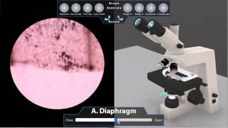 3D virtual microscope lab demo | Oregon State Ecampus