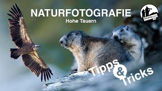 Kreative Naturfotografie im Nationalpark Hohe Tauern - Canon RF 200-800mm & RF 100mm