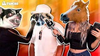 Exponiendo Infieles Ep. 1 - Especial Animales / Fancro