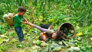 Harvest pumpkins to sell - cook with your children - watch your children grow day by day