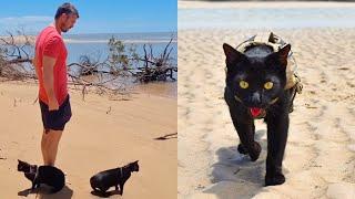 Cat Parents Shocked At Cats Reaction To The Beach! ️