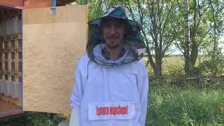 Мёд и промышленное пчеловождение. Современный подход к пасеке.