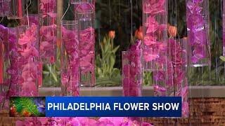 Philadelphia Flower Show provides taste of spring on blustery weekend