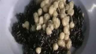 Burmese Sticky Rice: Nga-chayk Hbaong