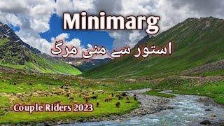 minimarg chilam chowki hotel | minimarg astore to chilam chowki | minimarg astore valley pakistan