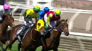 Melbourne Cup 2024 - KNIGHT'S CHOICE (3YO+ Hcp G1) Group 1 Flemington 5 November