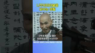 나무아미타불을 외우는 생활 #청화스님 #1분법문