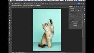 How to Remove Background with Adobe Photoshop Remove Background Tool