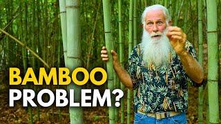 The Secret to Killing Bamboo | NO Chemicals or Machines