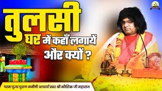 तुलसी घर में कहाँ लगाये और क्यों ? | Ghar me tulsi lagane ke fayde | Acharya Shri Kaushik Ji Maharaj