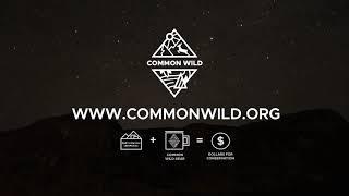 Common Wild Initiative