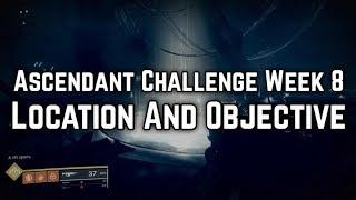 Destiny 2 - Ascendant Challenge Week 8 (Gardens of Esila) Portal Location and Objective