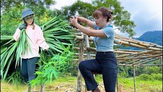 make house frame, use palm leaves to roof the house - Ly Tieu Van